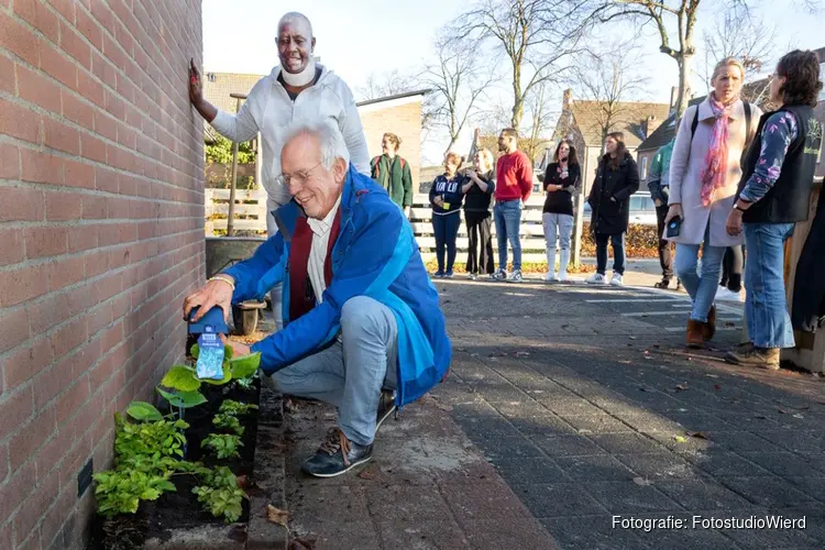 Weer vier Lelystadse straten groener tijdens Groene Straat Make-Over