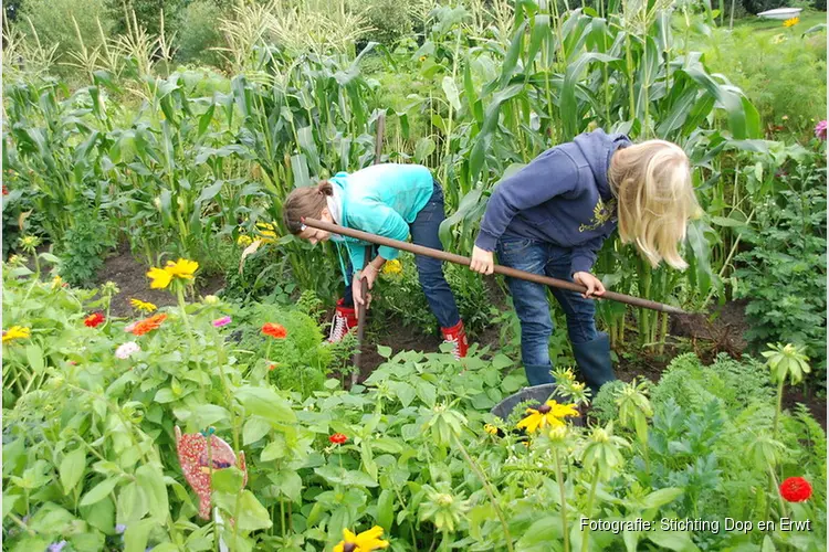 Workshop school of kindertuintjes, waarom en hoe