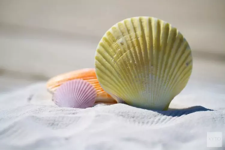 Augustus: geniet van vakantie in eigen land