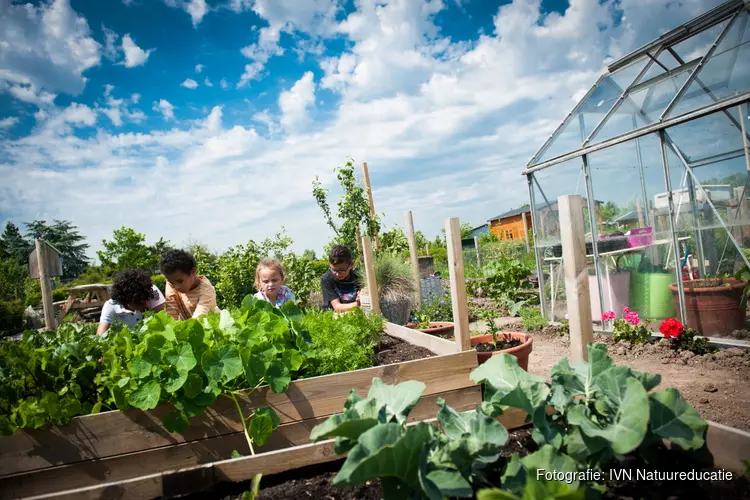 Flevoland bundelt krachten voor groene en gezonde schoolpleinen