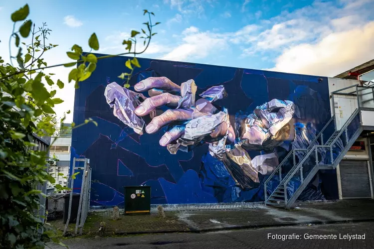 Lelystadse murals in wereldwijde verkiezing