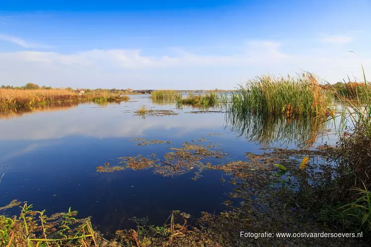 Ontwerp voorkeursbeslissing project Oostvaardersoevers ter inzage