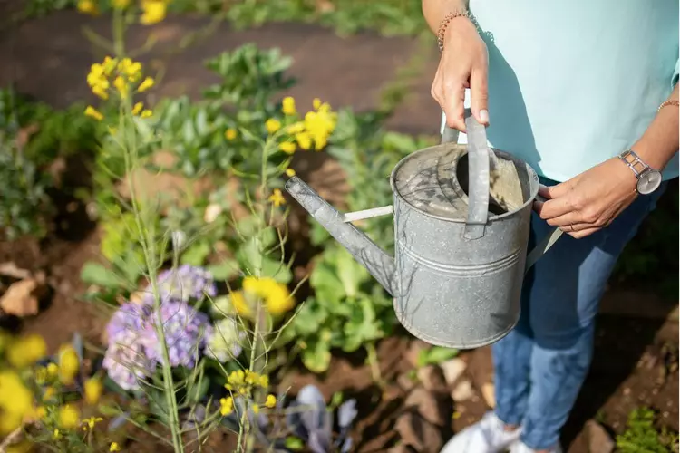 Het hele jaar bloemen in jouw tuin? Win het IVN Tuiny Bloeipakket!