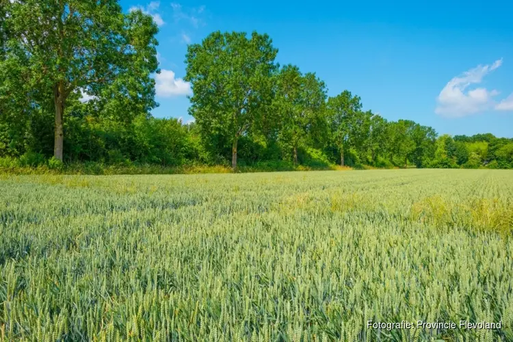 Provincie Flevoland vraagt € 1 miljard uit Transitiefonds Landelijk Gebied