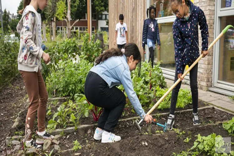 Enthousiaste Flevolanders gezocht voor nieuwe opleiding moestuincoach