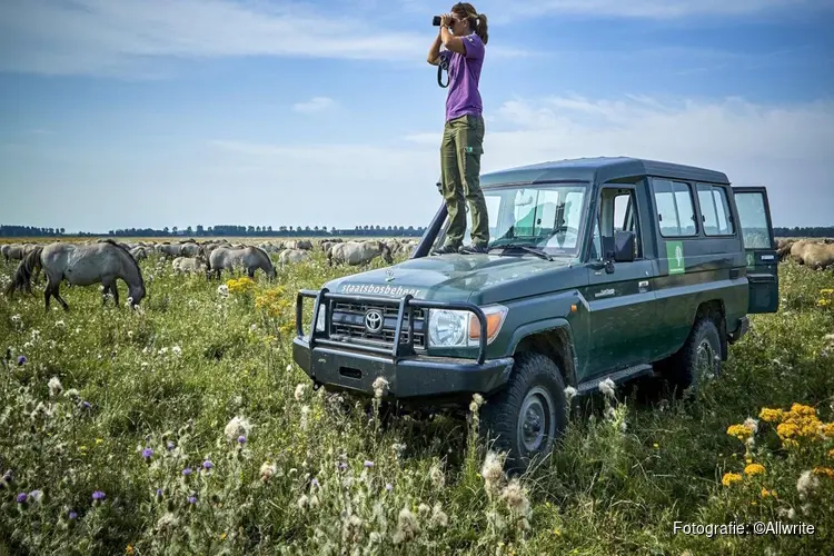 Natura 2000-beheerplan Oostvaardersplassen 2024 – 2029 vastgesteld