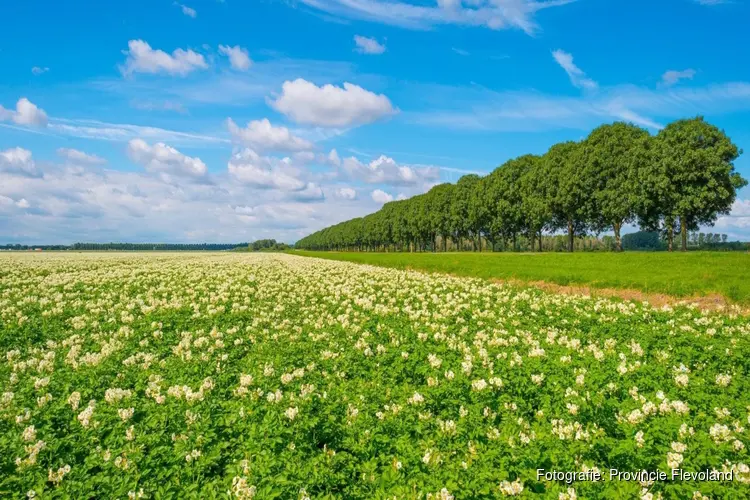 Gezocht: 200 Flevolanders die luchtkwaliteit willen meten